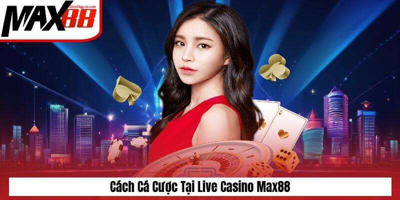 Cách cá cược tại casino Max88 Cách cá cược tại casino Max88